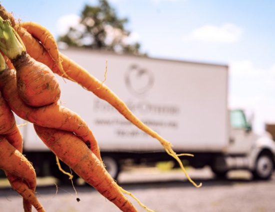 Carrots being donated from the JK Farm